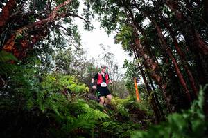 BIB: 
                            <button type="button" onclick="openModal(26202966)" class="btn btn-primary btn-sm float-right btn-popup" data-toggle="modal" data-target=".modal-high-quality">
                        <i class="fas fa-shopping-cart"></i> Add to Cart
                    </button>
                                            <button type="button" onclick="isThisMe(26202966, true)" class="btn btn-success btn-sm float-right btn-popup btn-isme hidden" data-toggle="tooltip" data-placement="bottom" title="นี่คือรูปของคุณใช่ไหม คลิกที่นี่เพื่อเอาเข้าอัลบั้ม">
                        <i class="fas fa-plus"></i> Add to album
                    </button>
                    <button type="button" onclick="isThisMe(26202966, false)" class="btn btn-warning btn-sm float-right btn-popup btn-isnotme hidden">
                        <i class="fas fa-ban"></i> Remove from album
                    </button>